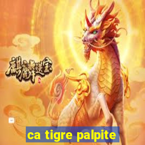 ca tigre palpite